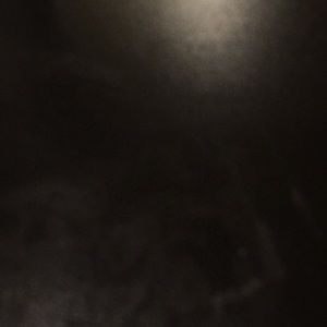 Meet your Posher, Shayln